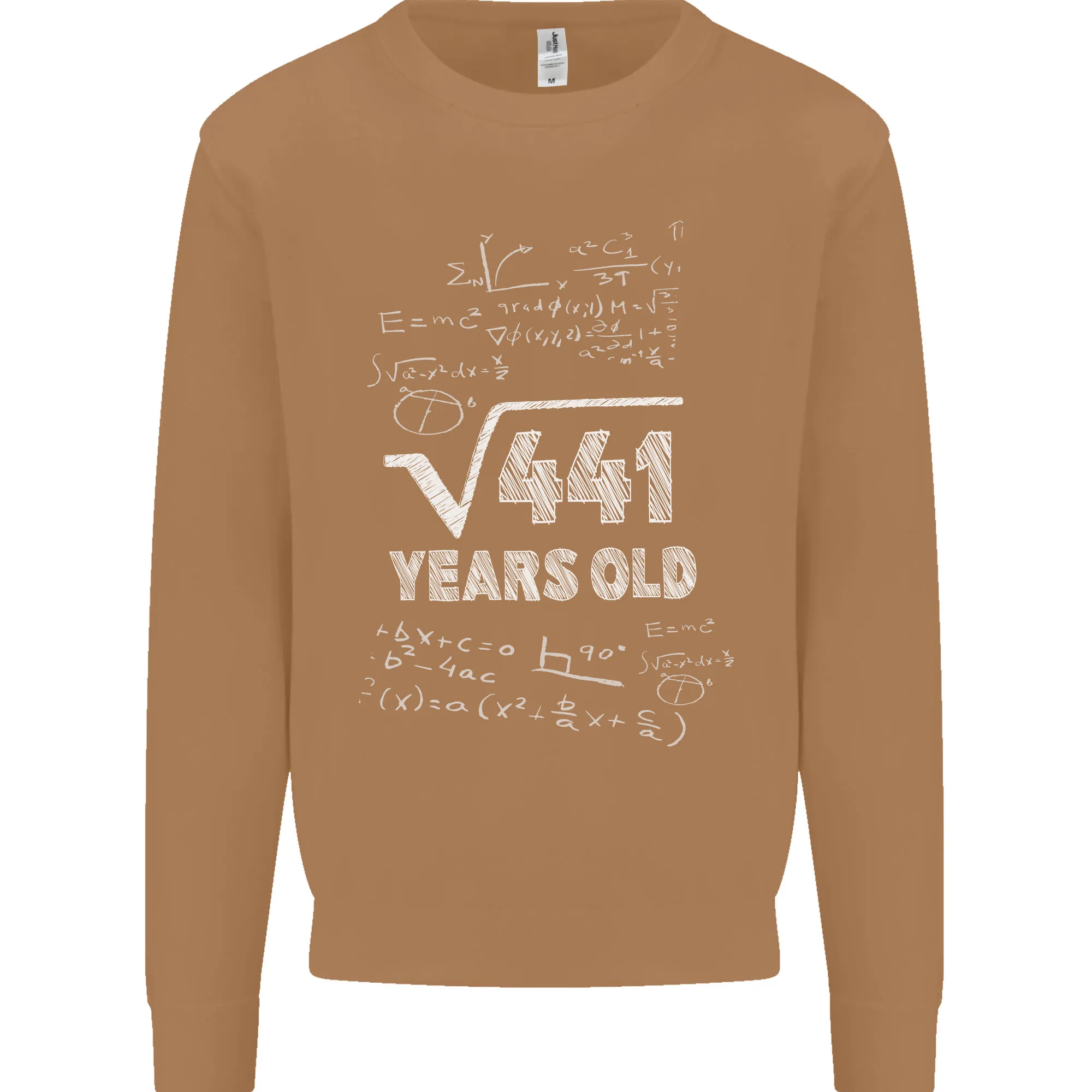 21st Birthday 21 Year Old Geek Funny Maths Mens Sweatshirt Jumper