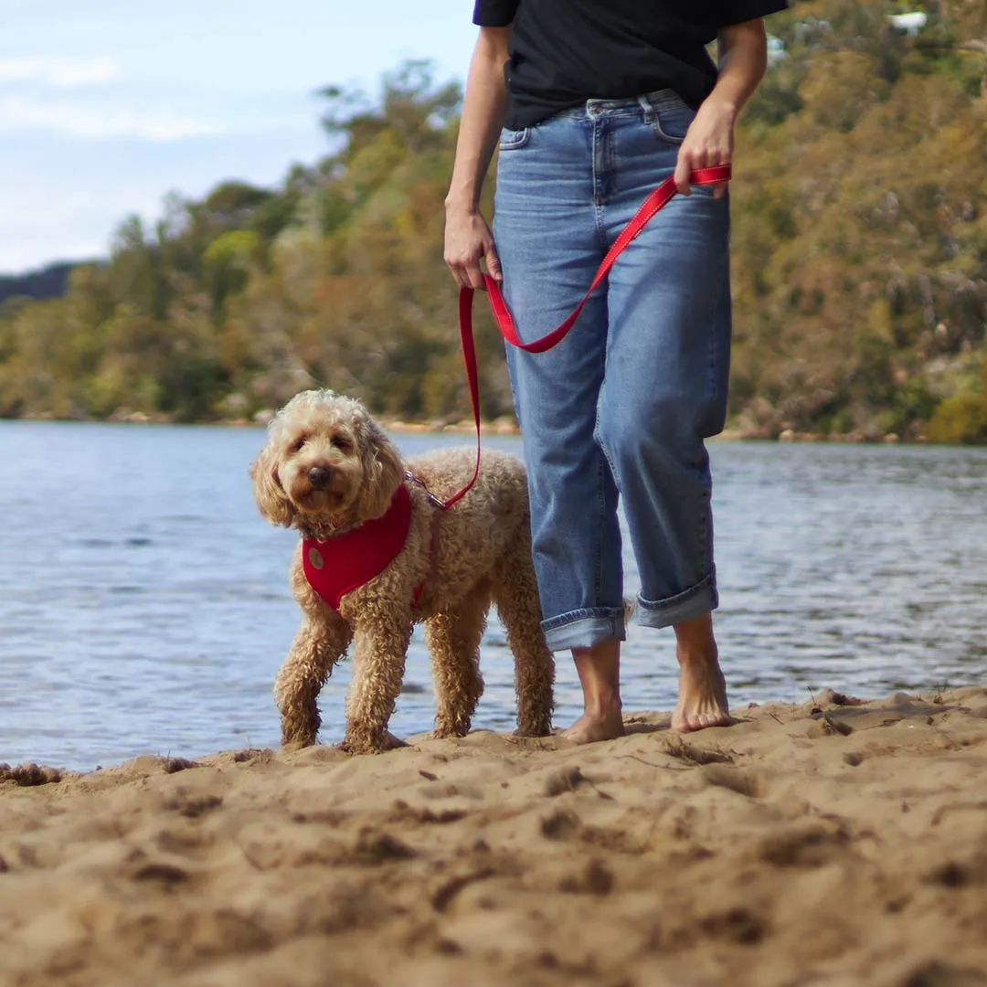 Classic Easy-clip Dog Collar - Red