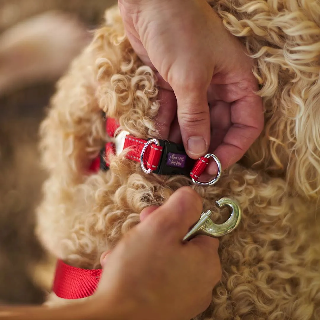 Classic Easy-clip Dog Collar - Red