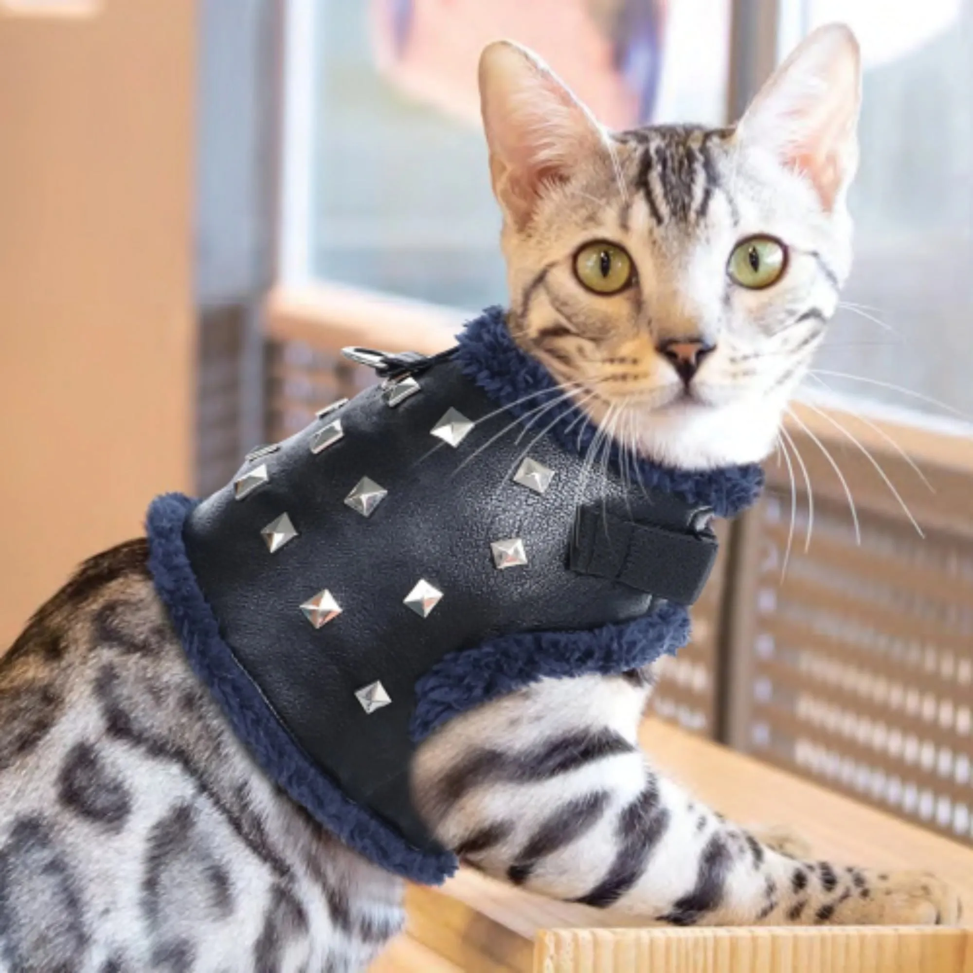 Cool Leather Look Stylish Adorable Dog and Cat Harness Pet Jacket