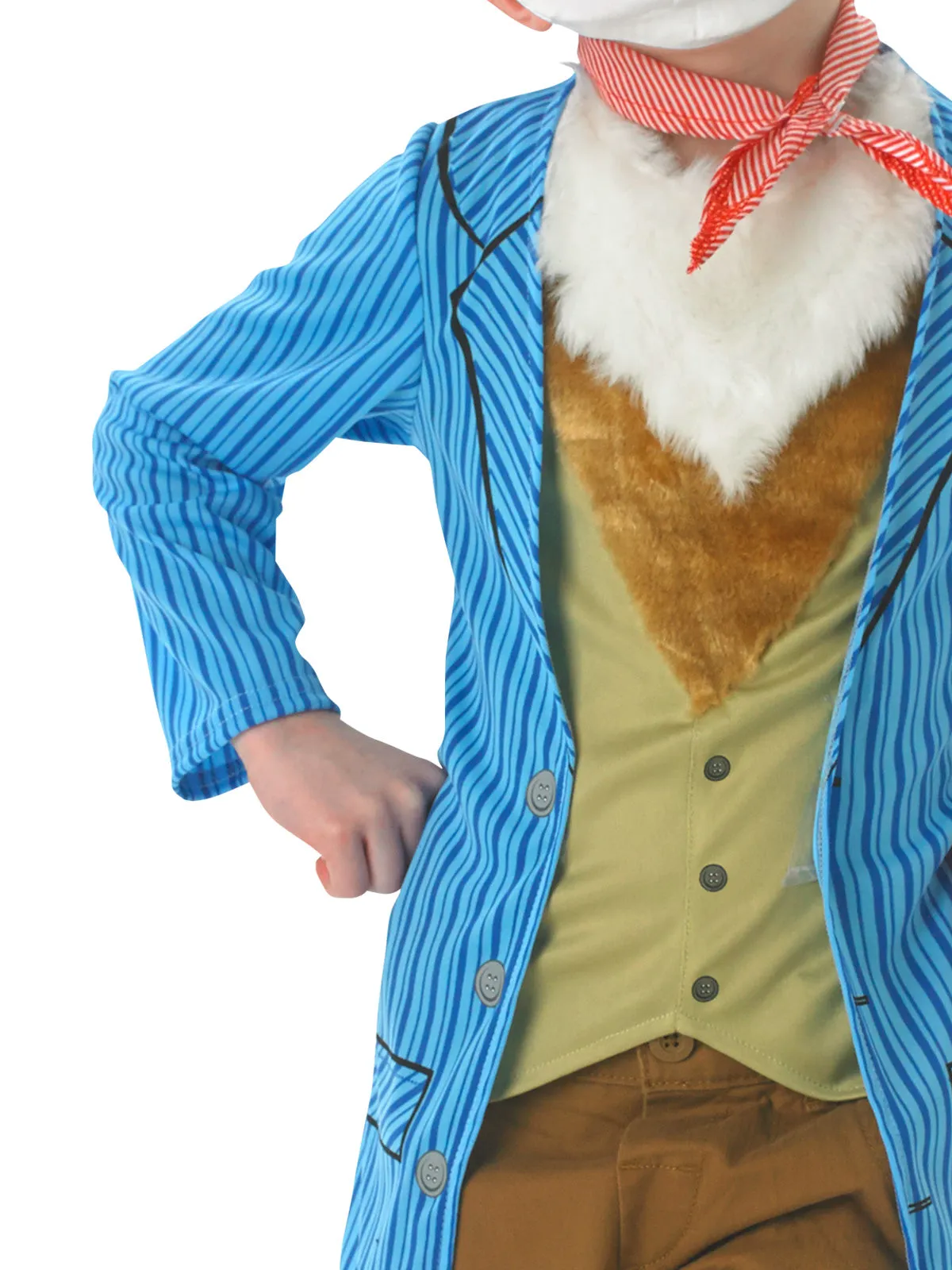 Fantastic Mr Fox Deluxe Costume for Boys