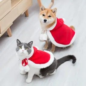 Festive Fur Capes