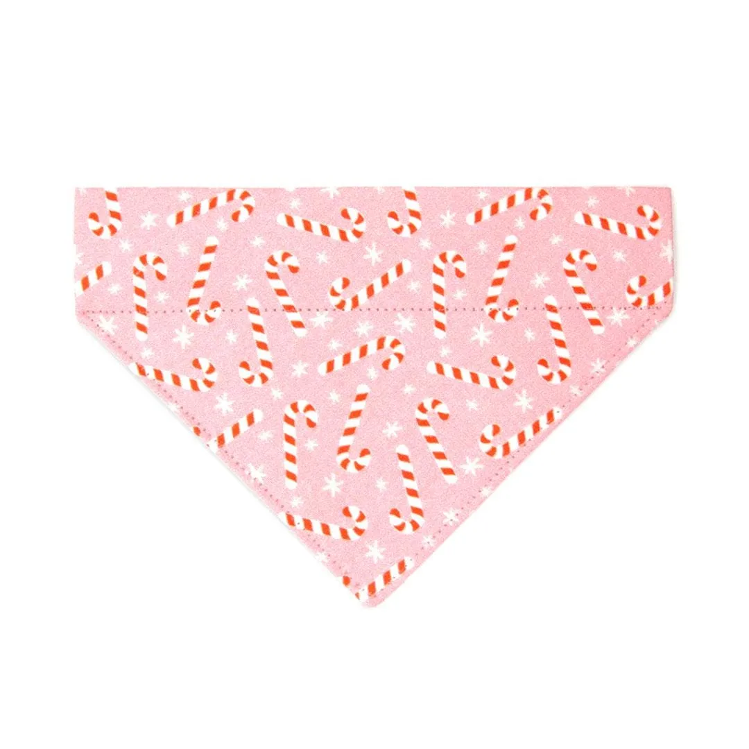 Holiday Cat Bandana - "Candy Christmas" - Pink Candy Cane Bandana for Cat   Small Dog / Christmas / Slide-On Over the Collar Bandana