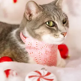 Holiday Cat Bandana - "Candy Christmas" - Pink Candy Cane Bandana for Cat   Small Dog / Christmas / Slide-On Over the Collar Bandana