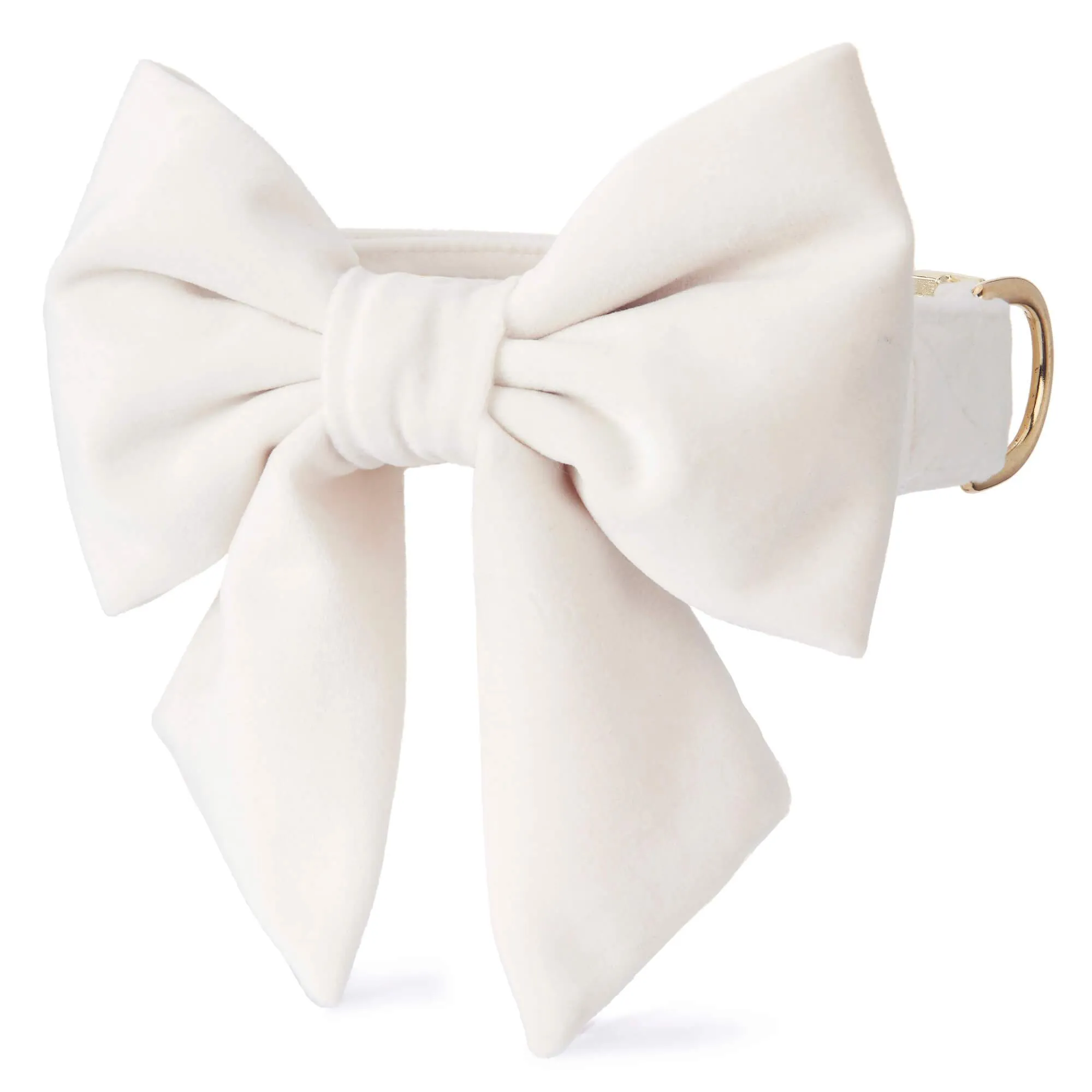 Ivory Velvet Lady Bow Collar