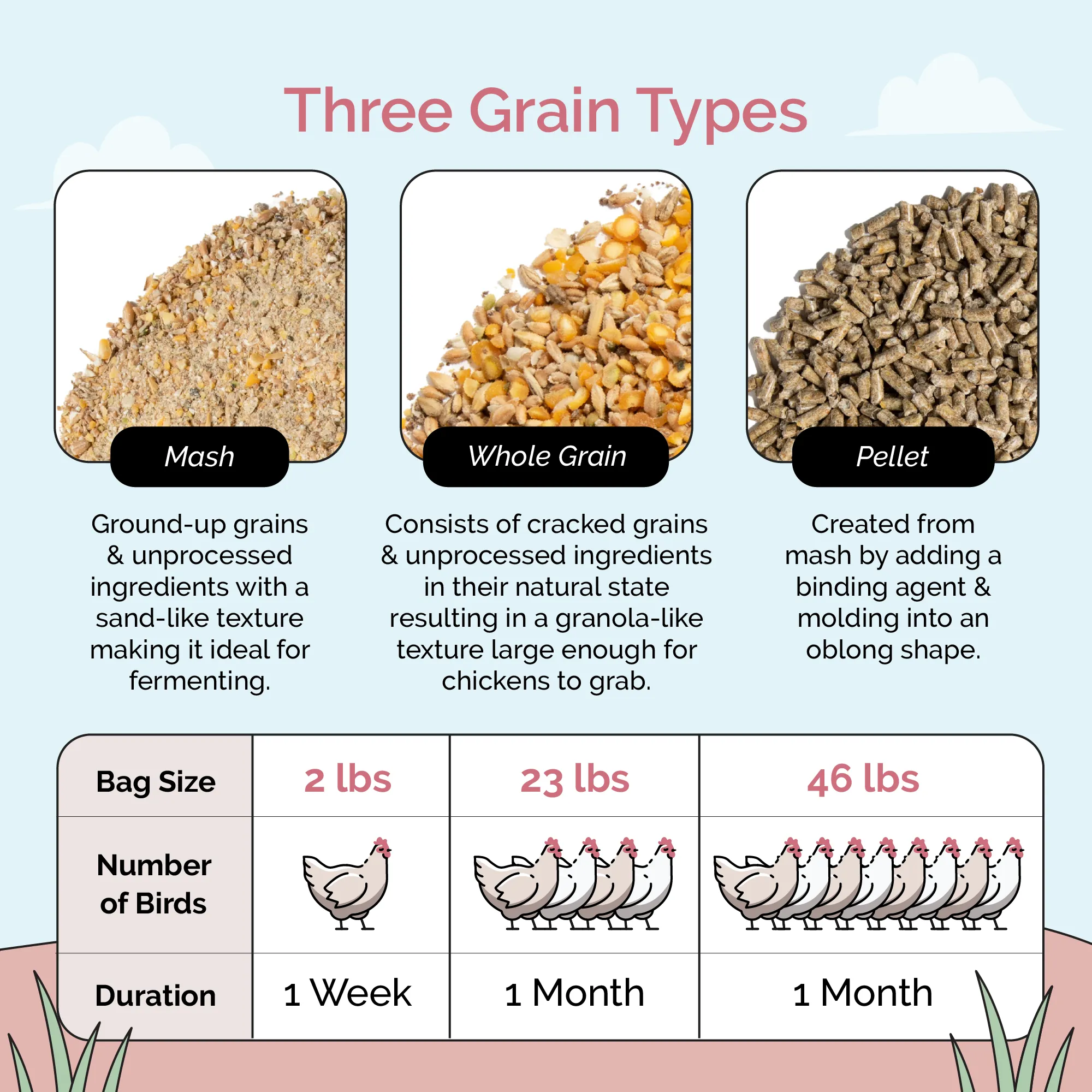 Layer Bundle | 1 Month of Organic Feed, Scratch, Grit & Oyster Shell for 6 Layers