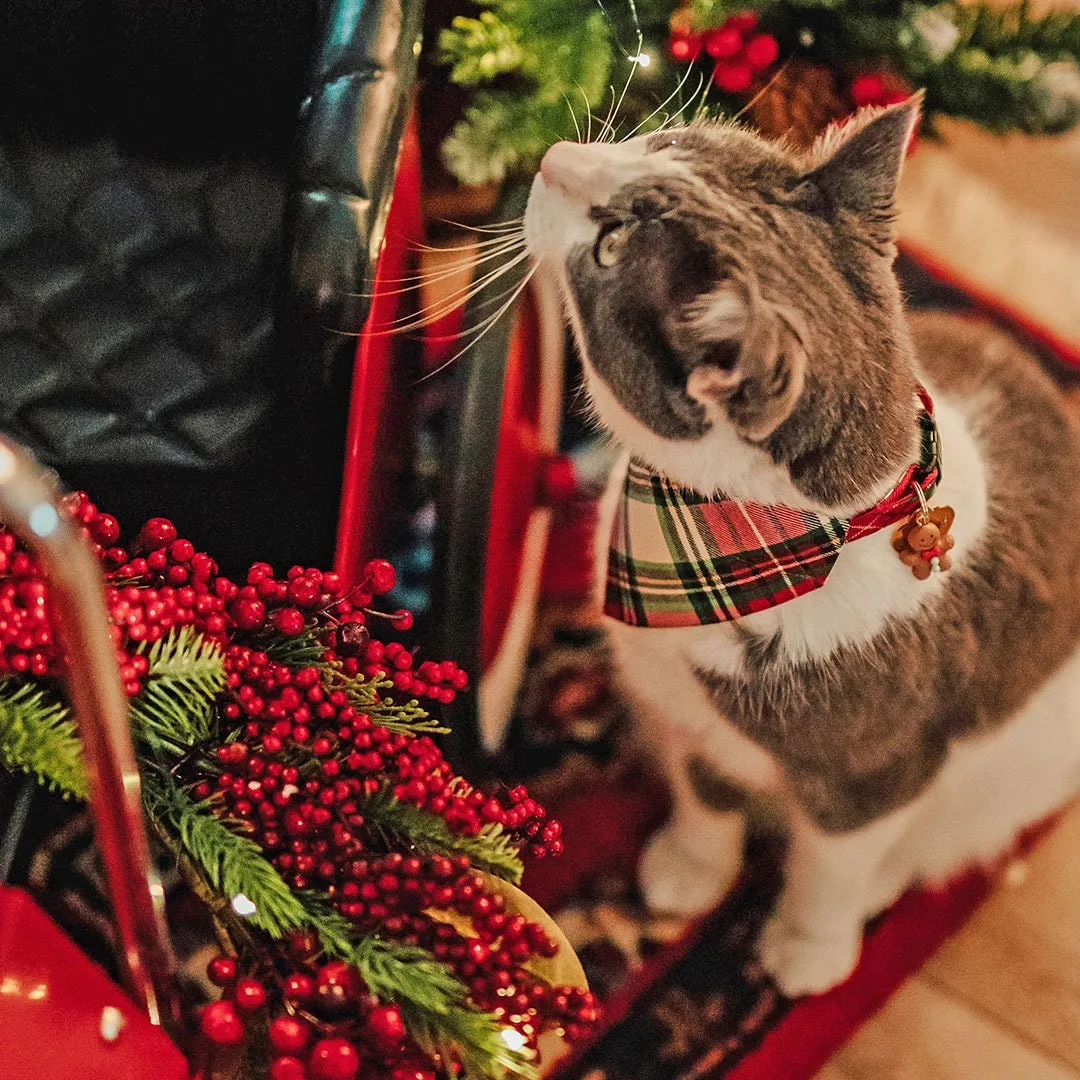 Pet Bandana - "Birchwood" - Red & Green Holiday Plaid Bandana for Cat   Small Dog / Christmas / Slide-on Bandana / Over-the-Collar (One Size)