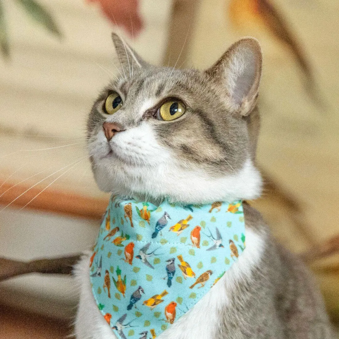 Pet Bandana - "Birds of a Feather" - Robin's Egg Blue Bird Bandana for Cat   Small Dog / Nature Lover, Audubon, Sibley / Slide-on Bandana / Over-the-Collar (One Size)