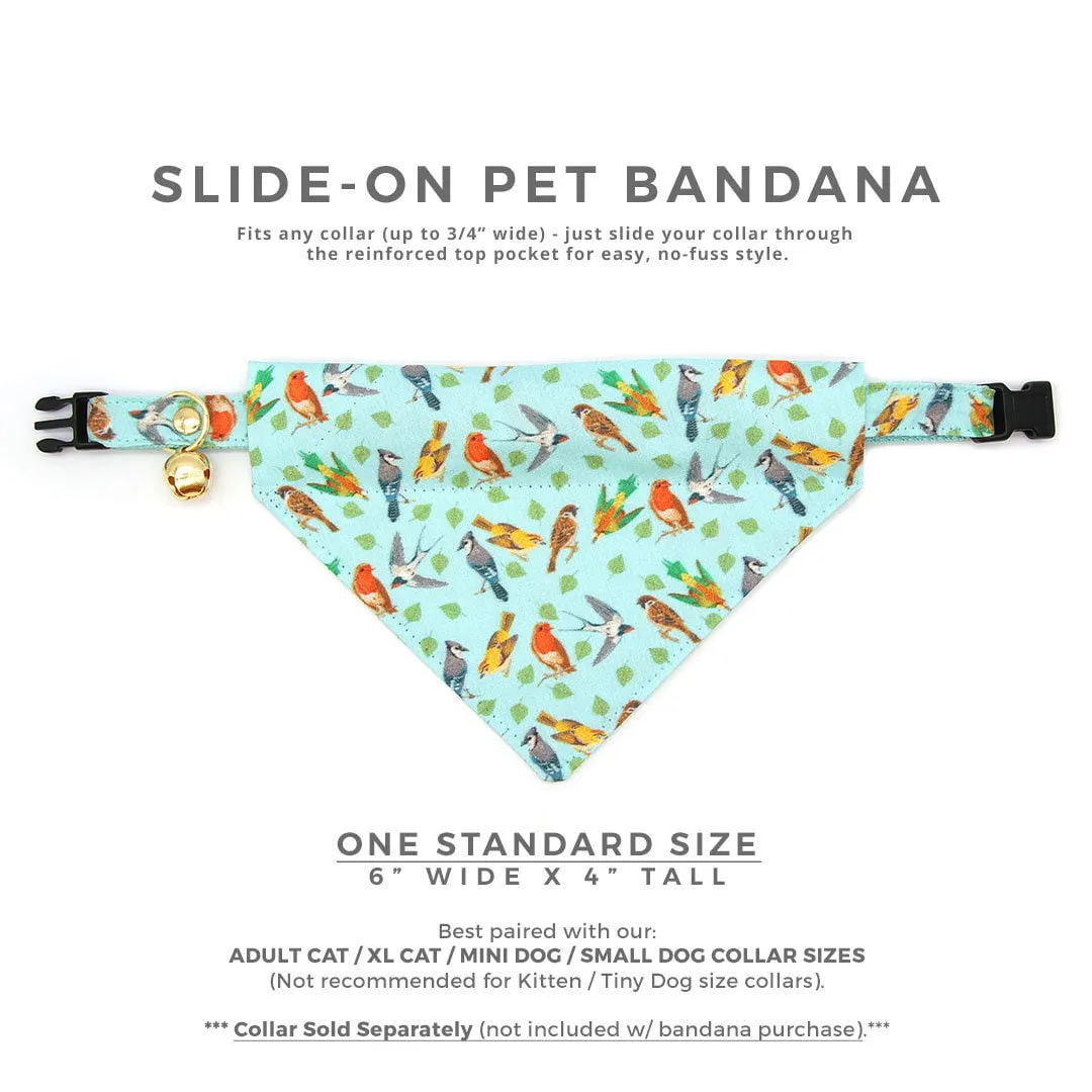 Pet Bandana - "Birds of a Feather" - Robin's Egg Blue Bird Bandana for Cat   Small Dog / Nature Lover, Audubon, Sibley / Slide-on Bandana / Over-the-Collar (One Size)