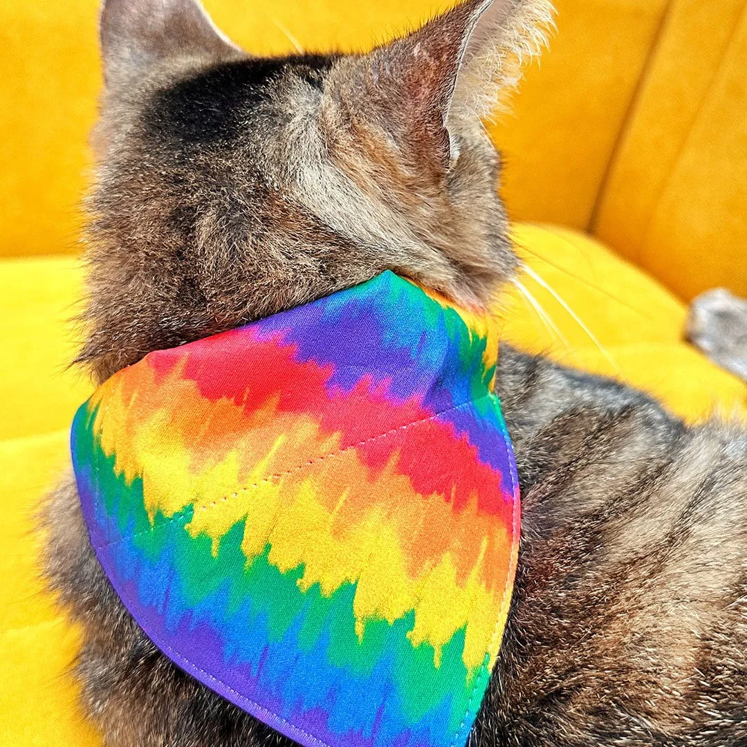 Pet Bandana - "Celebration" - Ombre Rainbow Bandana for Cat   Small Dog / LGBTQ  Pride, Birthday, Summer, Fiesta / Slide-on Bandana / Over-the-Collar (One Size)