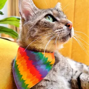 Pet Bandana - "Celebration" - Ombre Rainbow Bandana for Cat   Small Dog / LGBTQ  Pride, Birthday, Summer, Fiesta / Slide-on Bandana / Over-the-Collar (One Size)