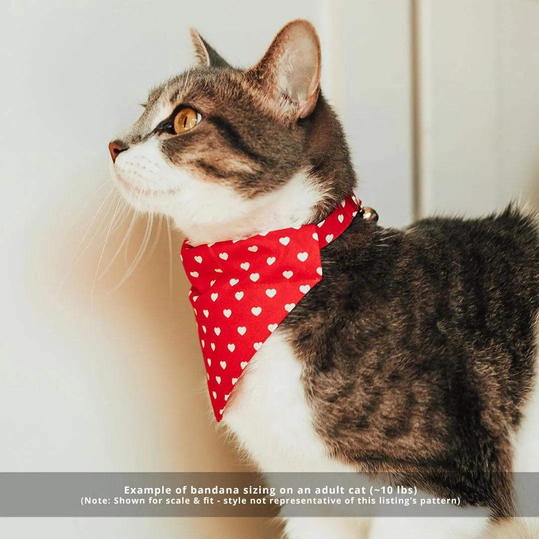 Pet Bandana - "Celebration" - Ombre Rainbow Bandana for Cat   Small Dog / LGBTQ  Pride, Birthday, Summer, Fiesta / Slide-on Bandana / Over-the-Collar (One Size)