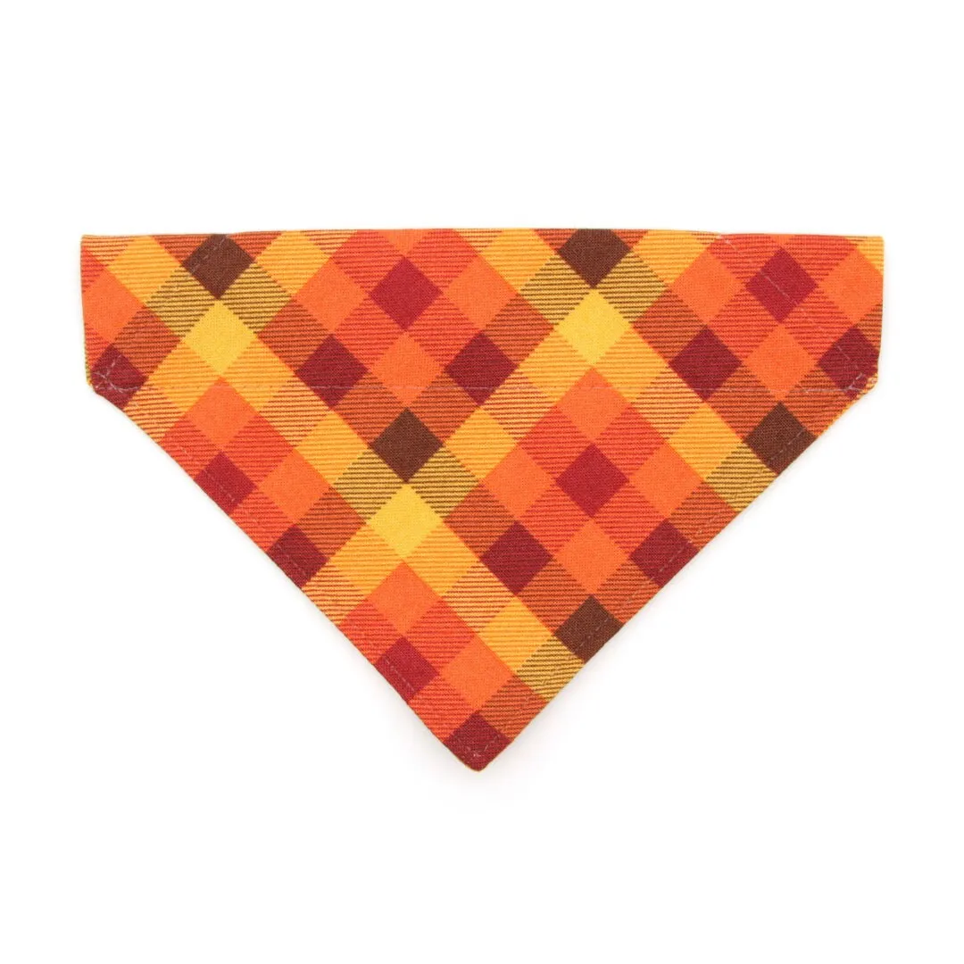 Pet Bandana - "Cinnamon" - Orange, Red & Gold Fall Plaid Bandana for Cat   Small Dog / Autumn   Thanksgiving / Slide-on Bandana / Over-the-Collar (One Size)