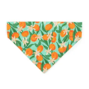 Pet Bandana - "Clementine Blossom" - Mint Green & Orange Citrus Bandana for Cat   Small Dog / Spring. Summer, Tangerine, Tropical / Slide-on Bandana / Over-the-Collar (One Size)