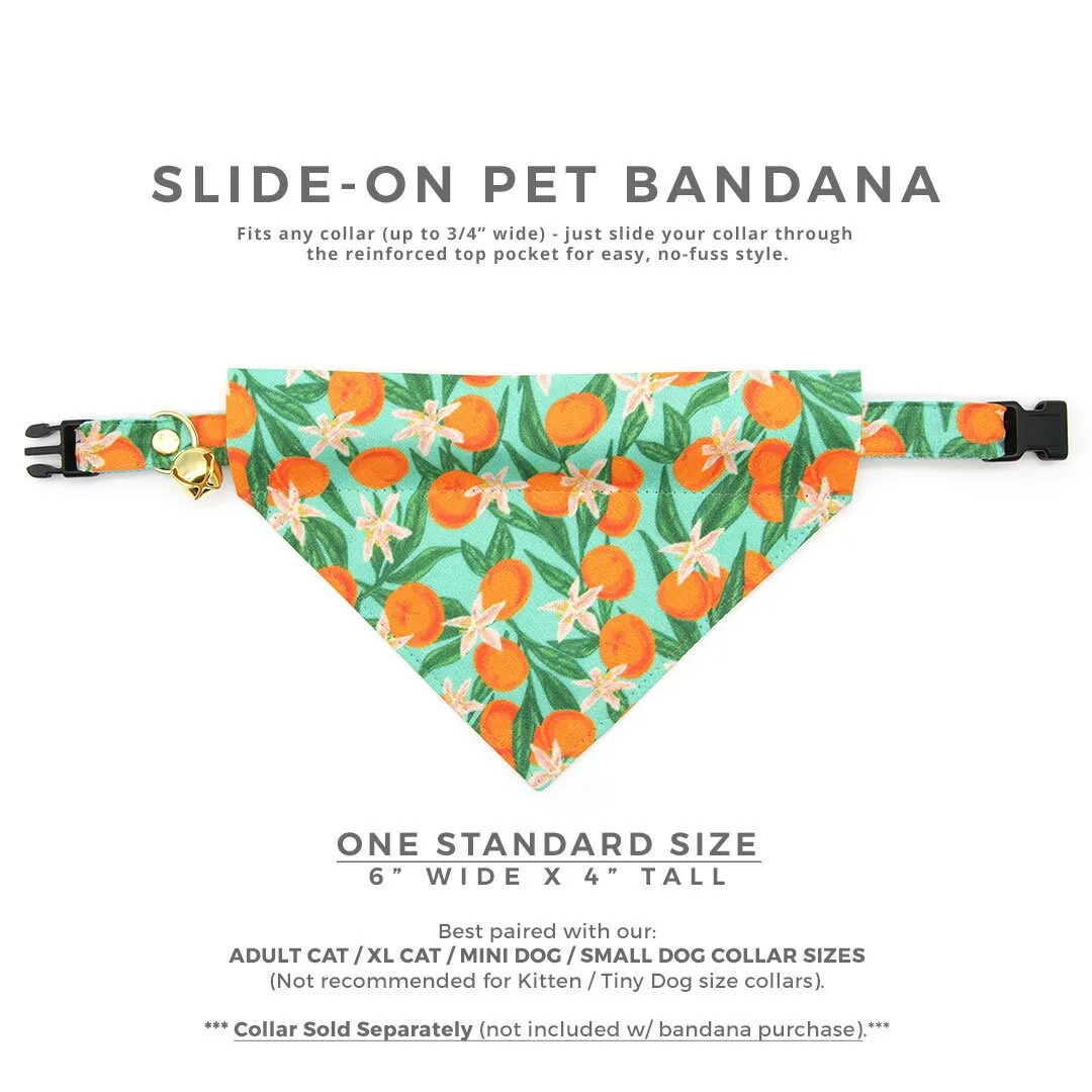 Pet Bandana - "Clementine Blossom" - Mint Green & Orange Citrus Bandana for Cat   Small Dog / Spring. Summer, Tangerine, Tropical / Slide-on Bandana / Over-the-Collar (One Size)