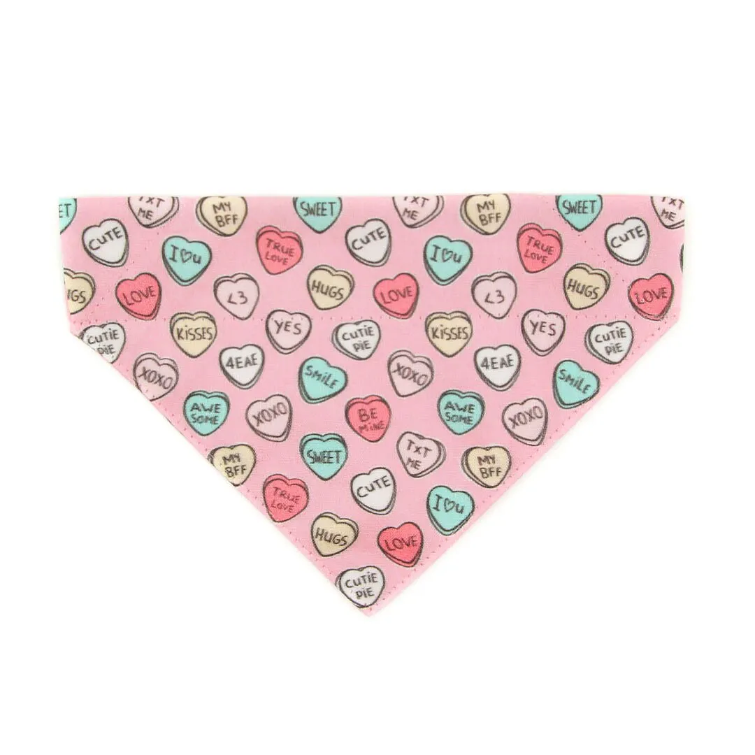 Pet Bandana - "Conversation Hearts - Pink" - Candy Heart Bandana for Cat   Small Dog / Valentine's Day / Slide-on Bandana / Over-the-Collar (One Size)