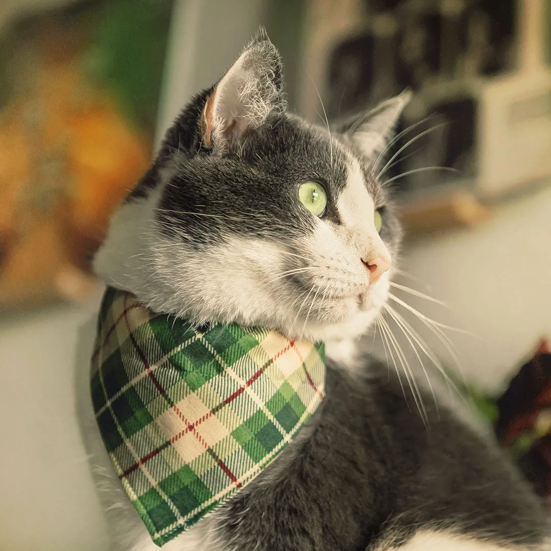 Pet Bandana - "Linden" - Buttercream   Leaf Green Plaid Bandana for Cat   Small Dog / Slide-on Bandana / Over-the-Collar (One Size)