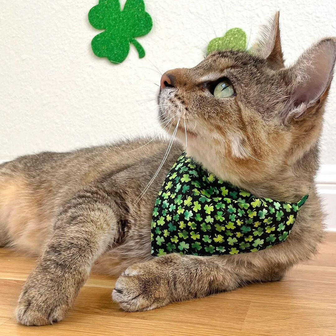 Pet Bandana - "Lucky Charmer" - St. Patrick's Day Bandana for Cat   Small Dog / Irish, Shamrock / Slide-on Bandana / Over-the-Collar (One Size)