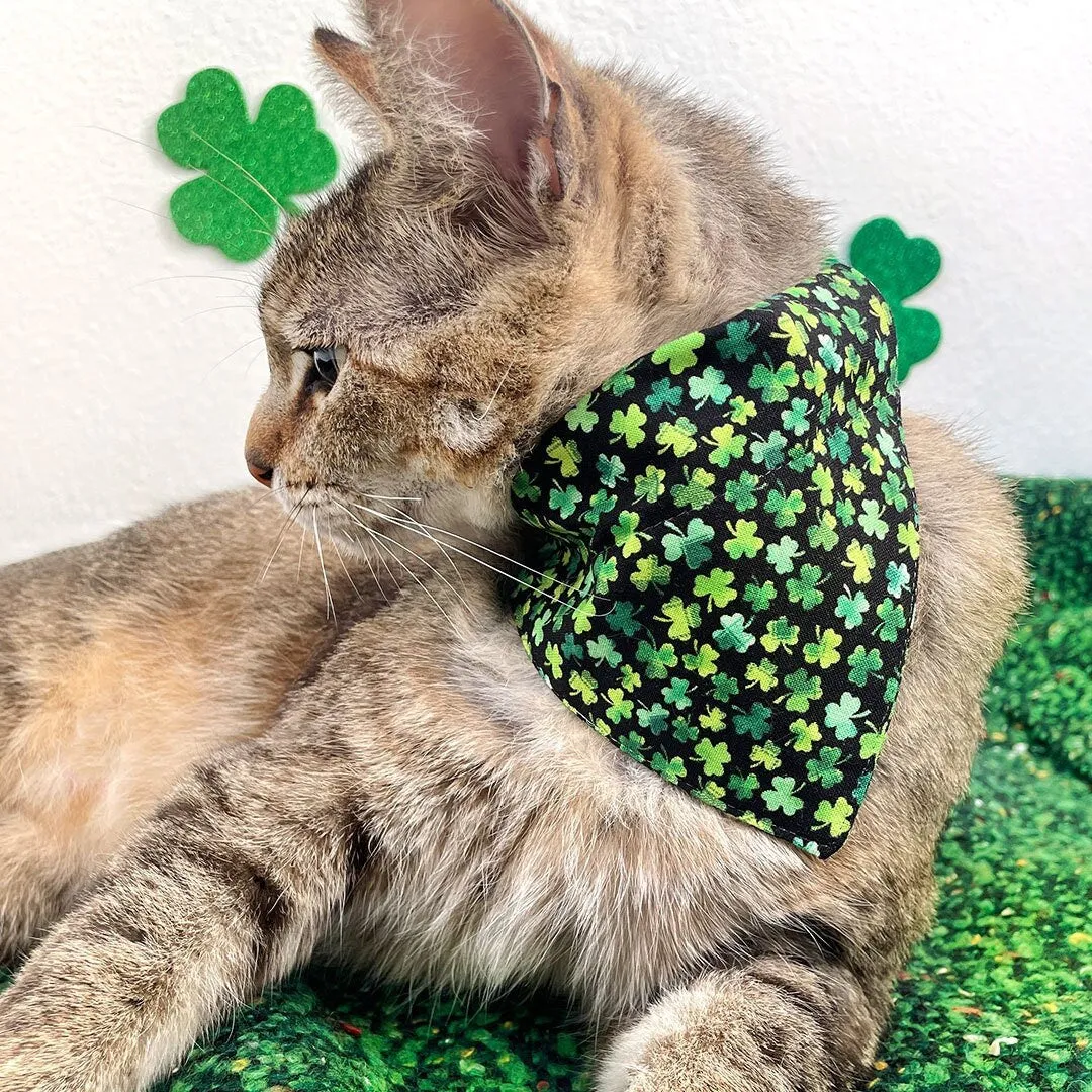 Pet Bandana - "Lucky Charmer" - St. Patrick's Day Bandana for Cat   Small Dog / Irish, Shamrock / Slide-on Bandana / Over-the-Collar (One Size)