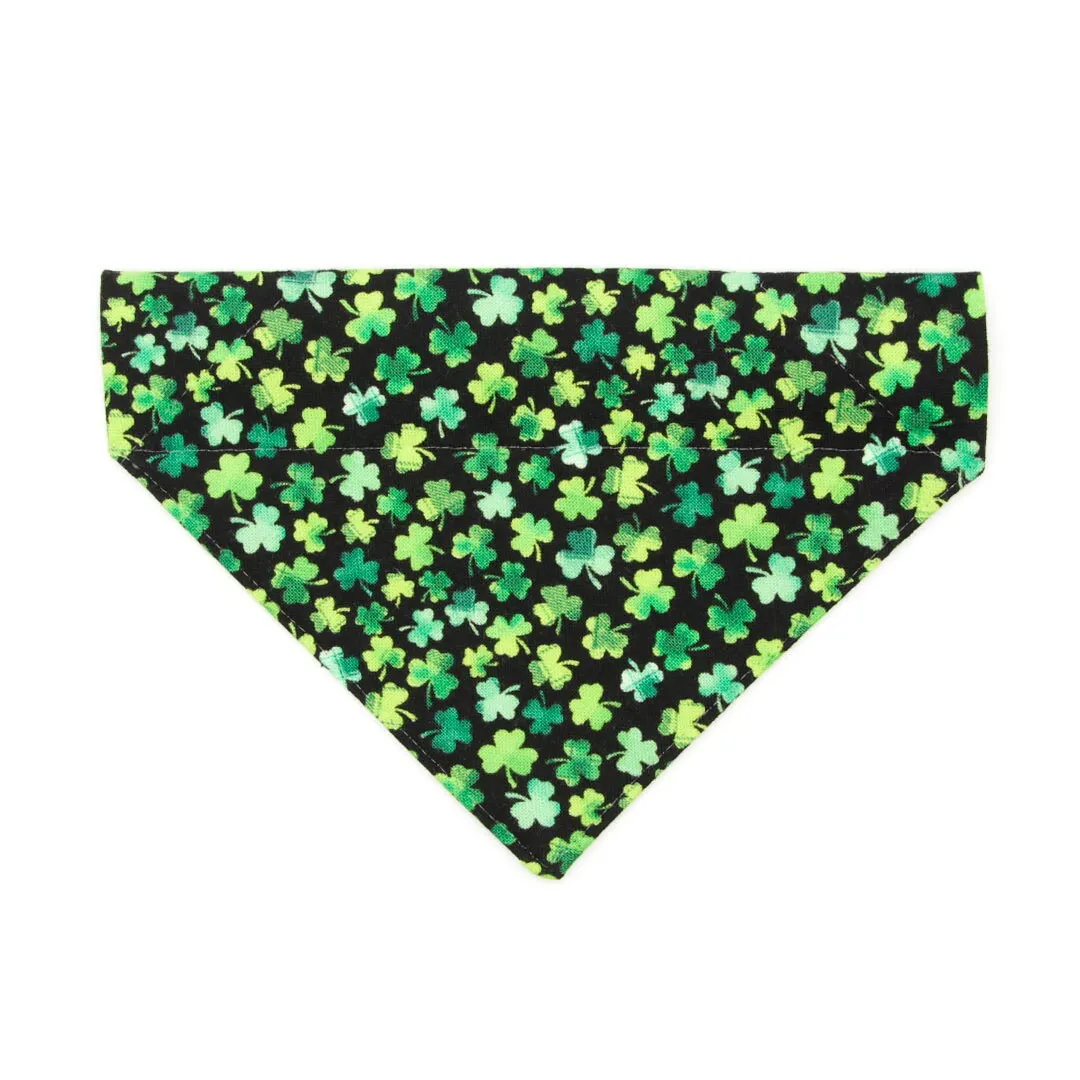 Pet Bandana - "Lucky Charmer" - St. Patrick's Day Bandana for Cat   Small Dog / Irish, Shamrock / Slide-on Bandana / Over-the-Collar (One Size)