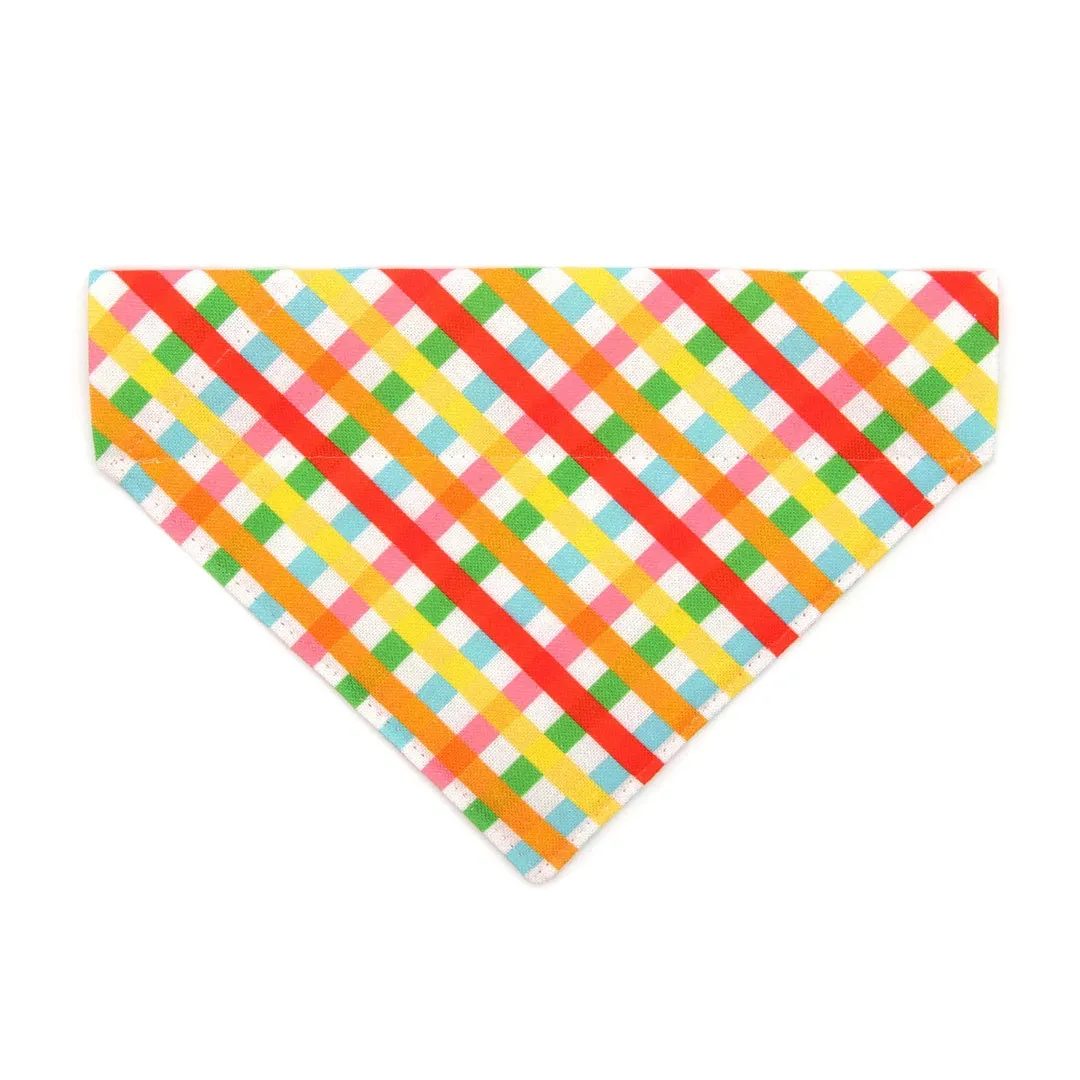 Pet Bandana - "Maypole" - Rainbow Plaid Bandana for Cat   Small Dog / Spring, Summer, Fiesta, Cinco, Mayday / Slide-on Bandana / Over-the-Collar (One Size)