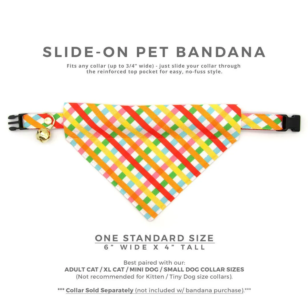 Pet Bandana - "Maypole" - Rainbow Plaid Bandana for Cat   Small Dog / Spring, Summer, Fiesta, Cinco, Mayday / Slide-on Bandana / Over-the-Collar (One Size)