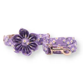 Purple Daisy Flower Unbreakable Collar™ & Leash Set