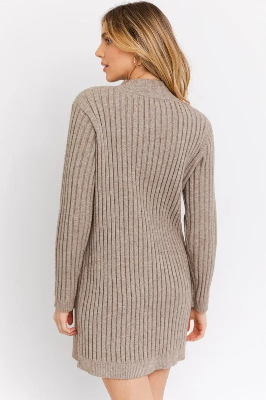 Turtle Neck Sweater Dress